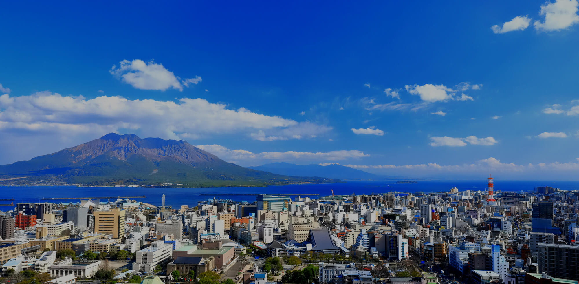 Next Innovation 次世代を見据えた創造