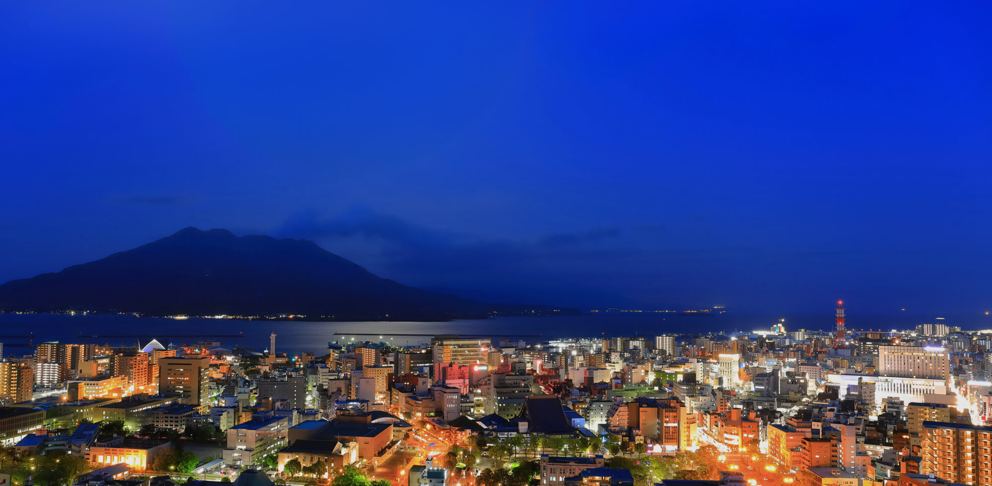 Next Innovation 次世代を見据えた創造